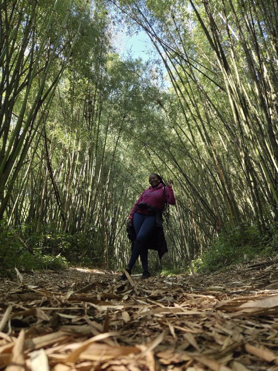 Diana walking through a bamboo forest, photographed from behind.