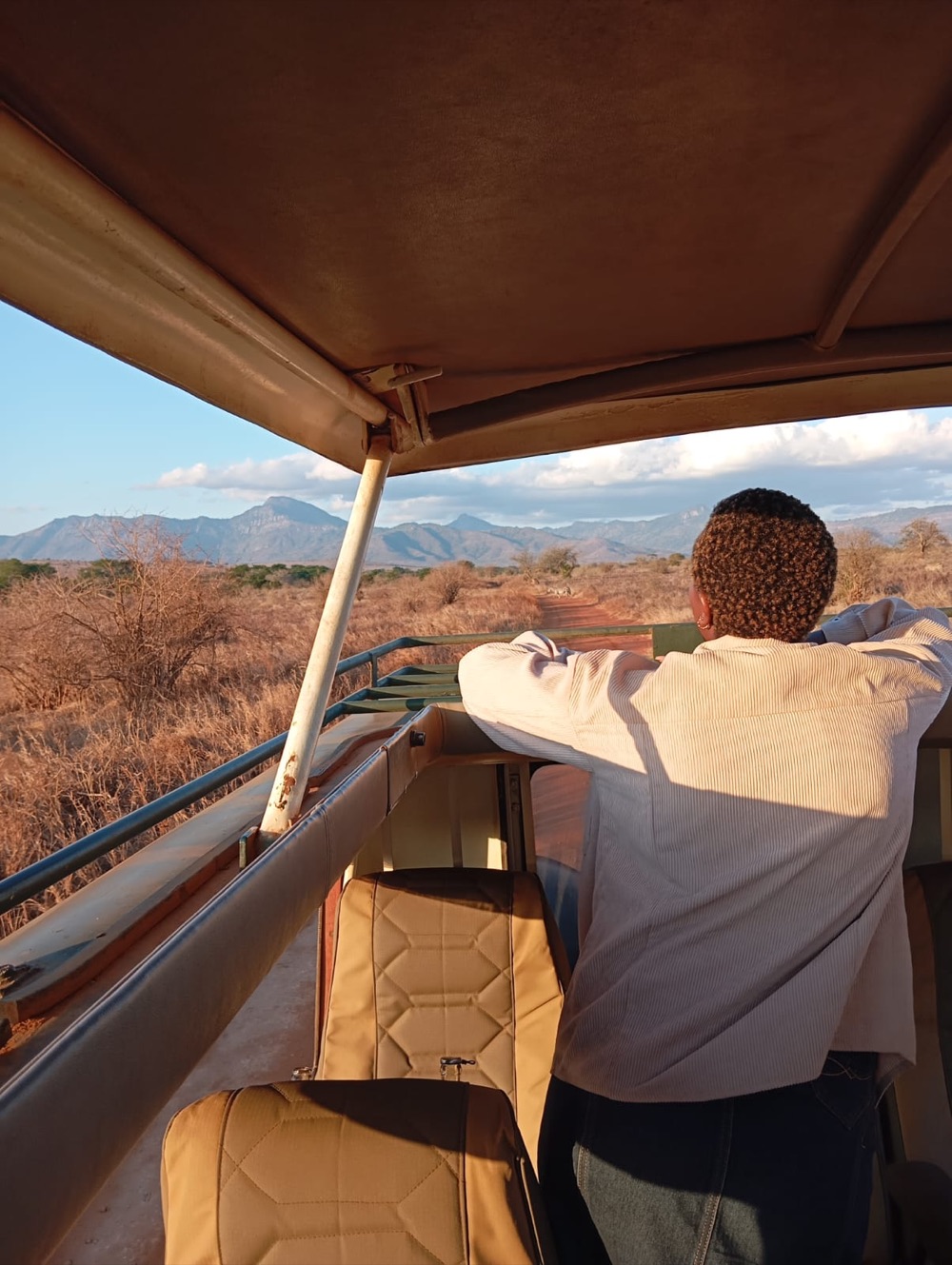 A view from an open-sided safari vehicle looking out over the savannah at sunset.